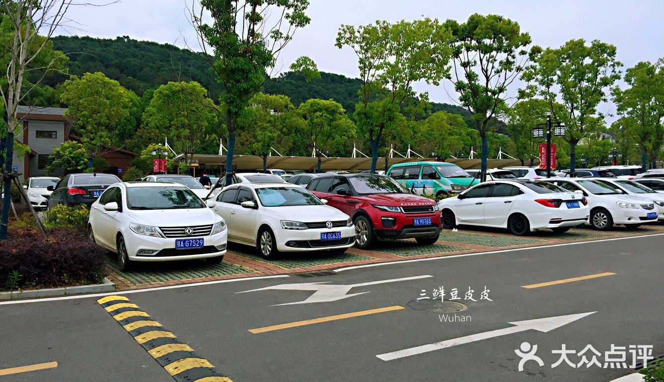 公园停车场面积蛮大的,停车位间距也较宽