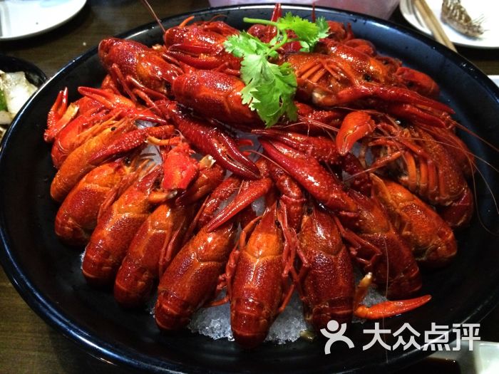 小飞虾(五角场店)-冰镇小龙虾图片-上海美食-大众点评网