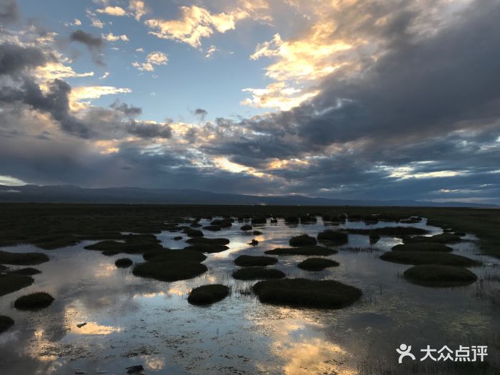 青海湖-图片-共和县周边游-大众点评网