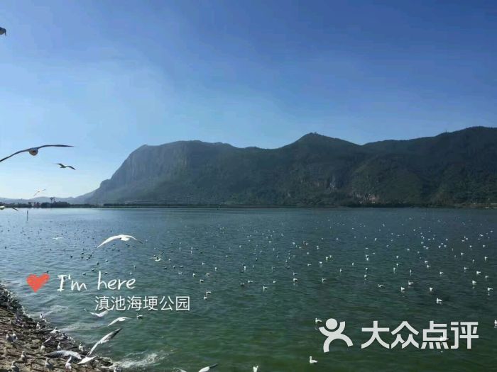 云南华夏国际旅行社有限公司-图片-苏州生活服务
