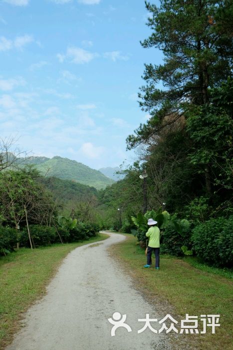 田野绿世界休闲度假民宿图片 - 第5张