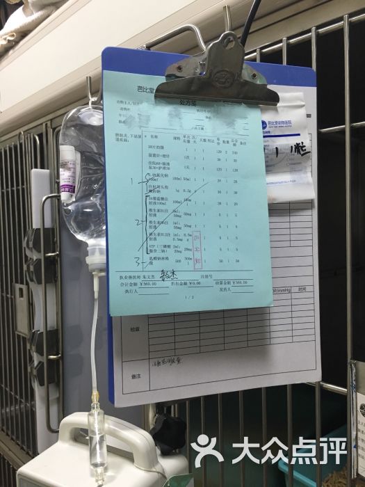 芭比堂动物医院(广州农大分院)价目表图片 - 第5张