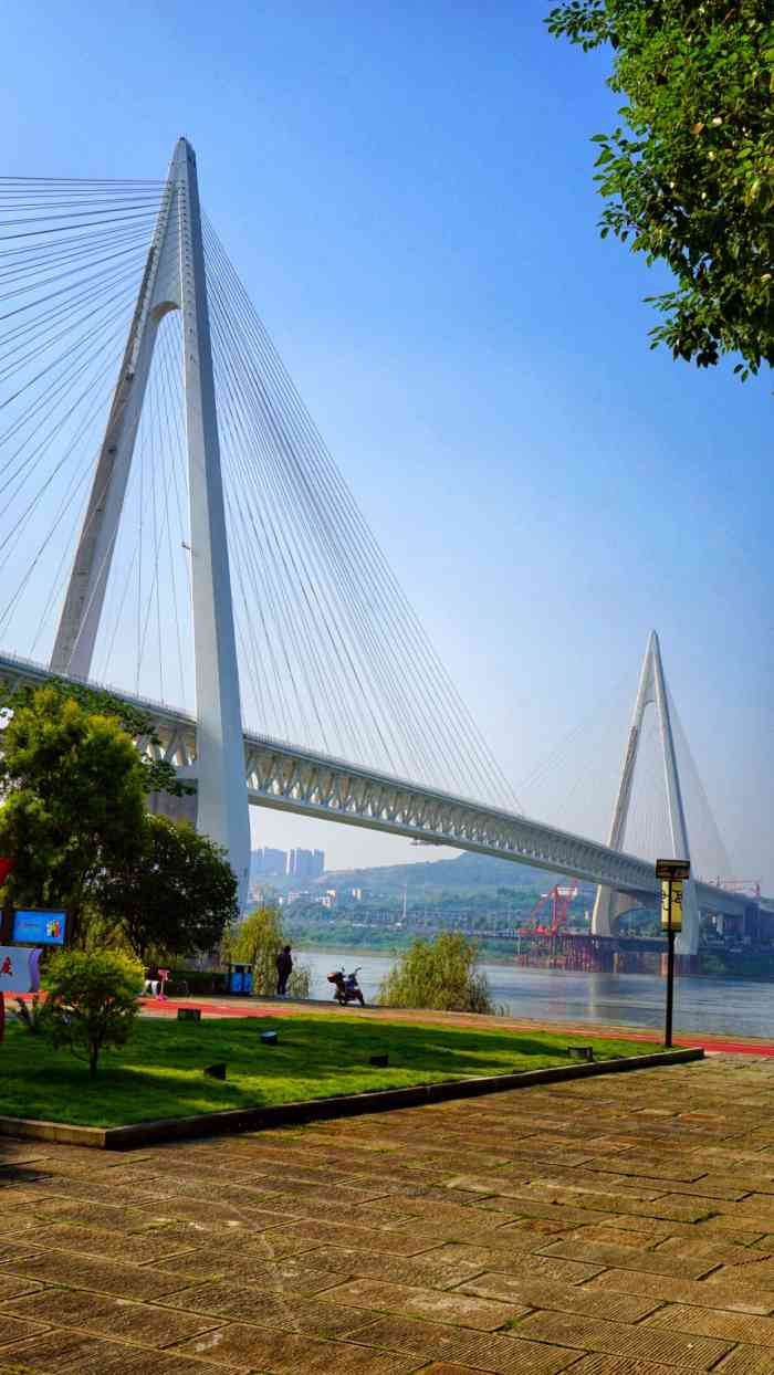 巴滨路湿地公园-"巴滨路,重庆的一条特色沿江休闲步道
