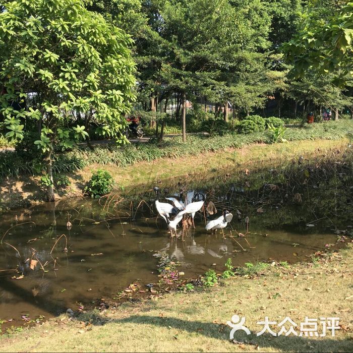 大沙河湿地公园