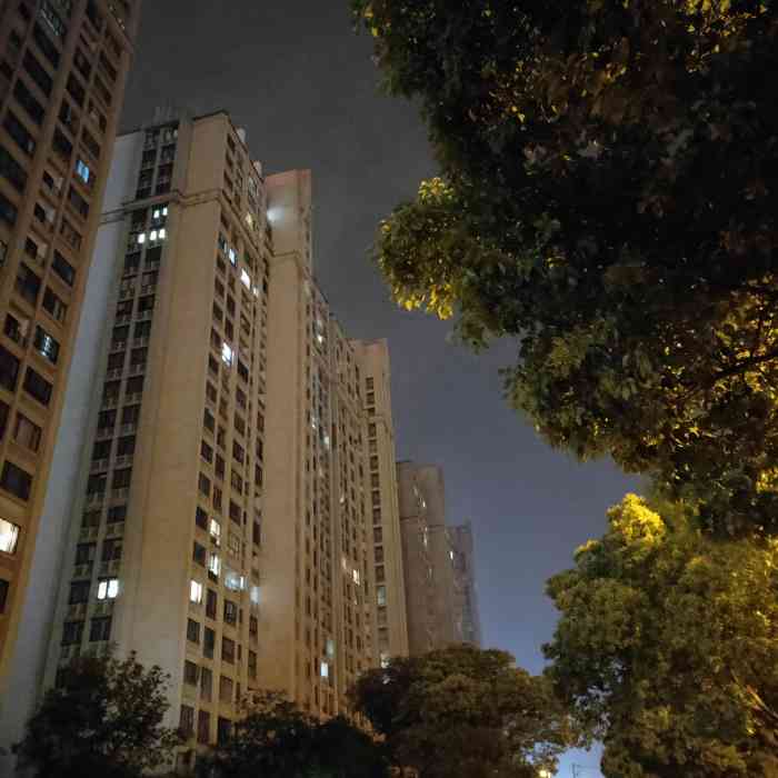 金辉·融城花园-"这个小区保安态度是真的差,真不知道
