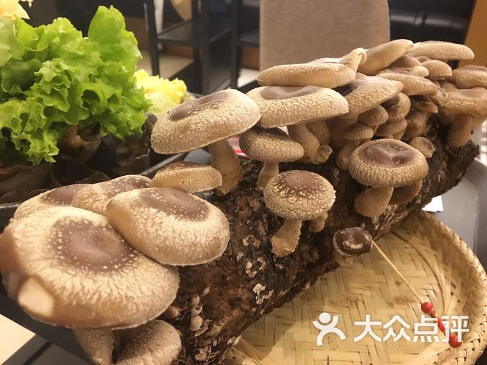 舞泽雪蟹和牛蒸涮锅(西郊百联店)活体菌菇图片 第4张