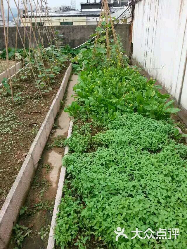 花城广场_昆明花城_花城海鲜酒家