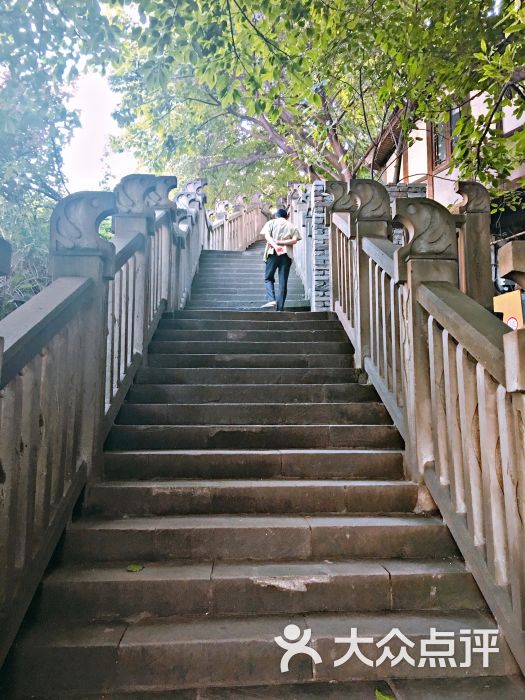 山城步道图片 - 第2张