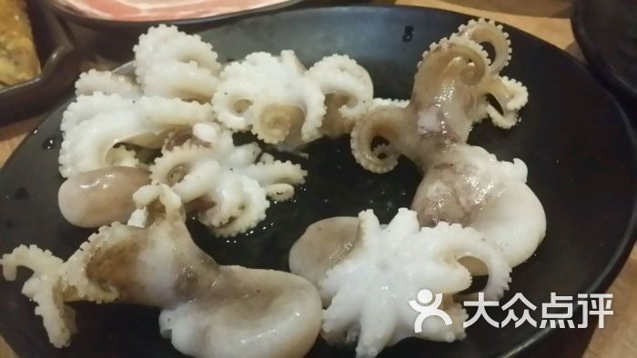 章鱼仔