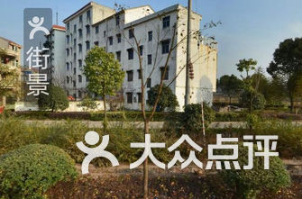 义乌幼儿园排名_义乌凤凰幼儿园