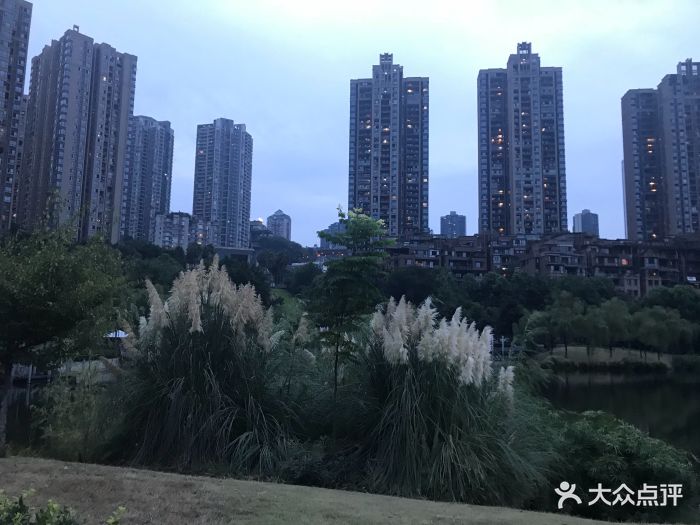 融侨公园图片