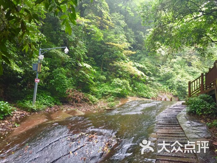 成都天台山景区图片 - 第3张