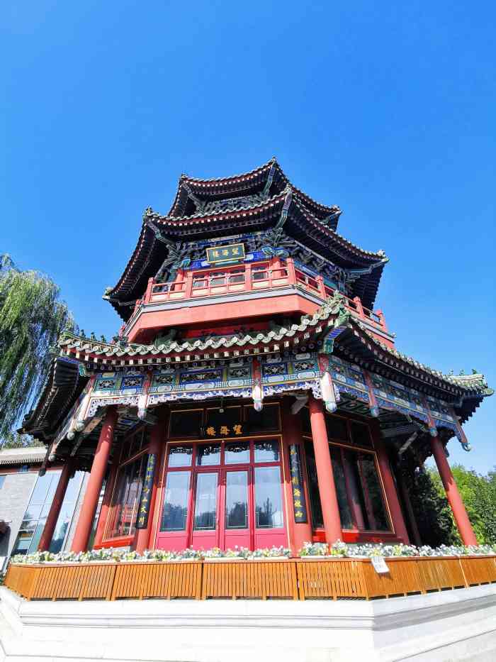 望海楼"望海楼品尝京兆尹素食,难忘的经历[愉快-大众点评移动版