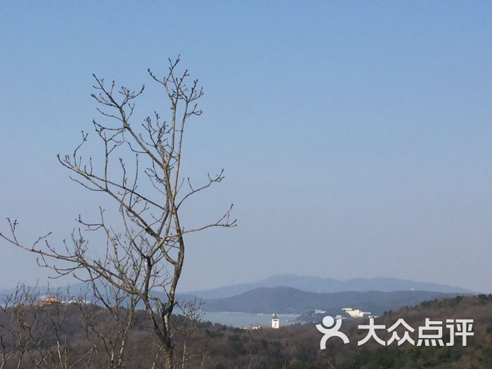 宝界山林公园图片 - 第337张