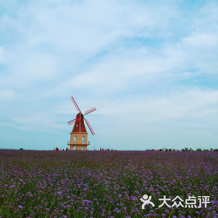 安国市中药都药博园景点图片 - 第9张