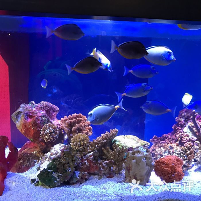 上海海洋水族馆