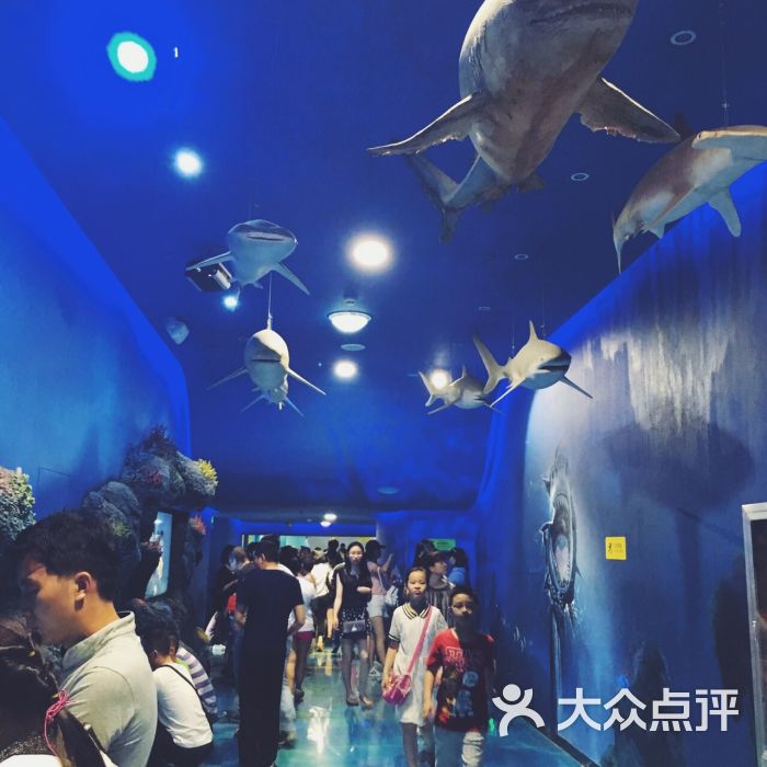 武汉科技馆图片 - 第2张