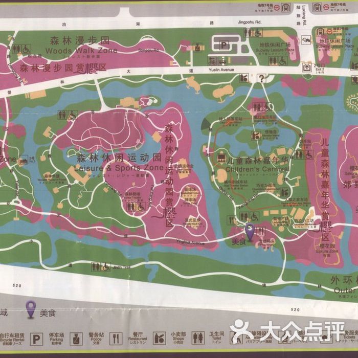 顾村公园杜鹃花展图片-北京公园-大众点评网
