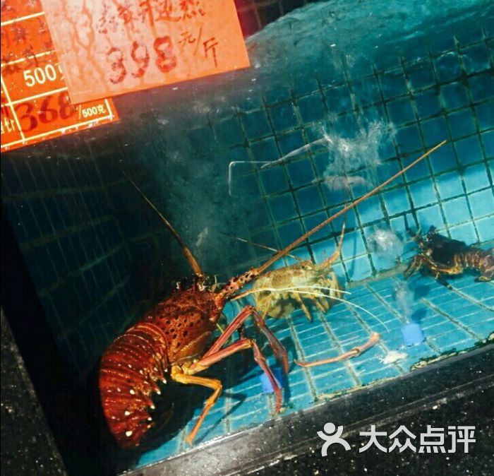 宝宇大连海鲜渔港(南二环店)图片 - 第2张