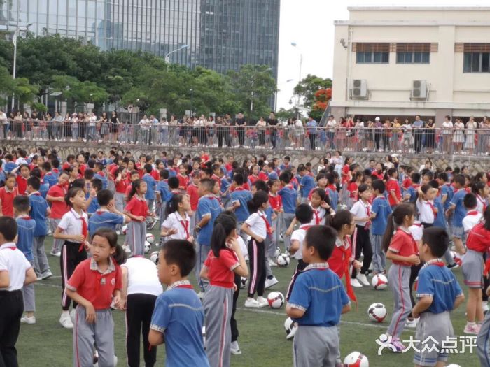 观音山音乐学校-图片-厦门学习培训-大众点评网