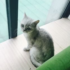 SCuju_gZxirxo6sTipWO5oEbUBNPm4ZRYY_BiQKDWPke2PniMAJK4tejDqonl8XNF5u7J_jS4MuCaeLAHD0KTg.jpg
