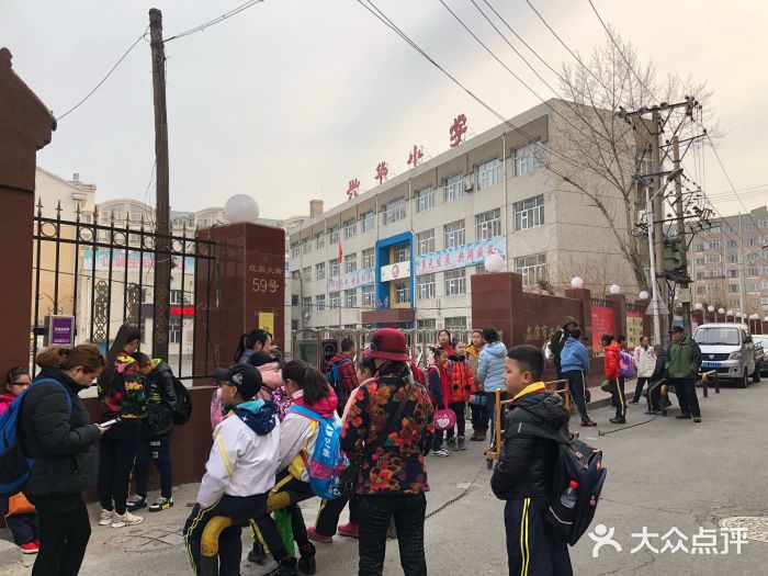 兴华小学-图片-哈尔滨学习培训-大众点评网