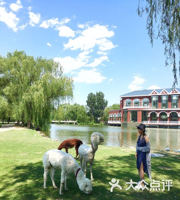紫玉山庄-图片-北京生活服务-大众点评网