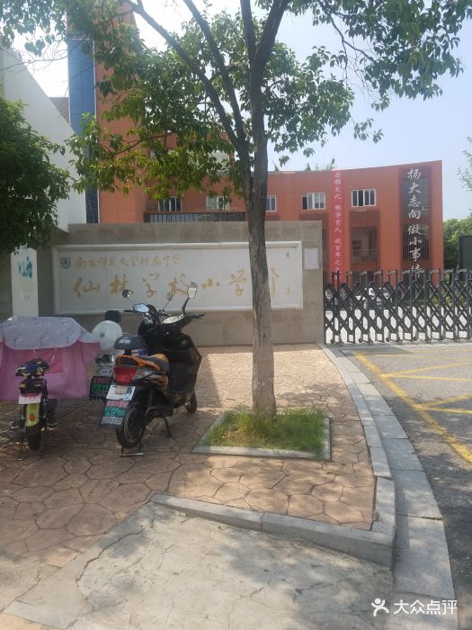 南师附中仙林学校小学部图片 第3张