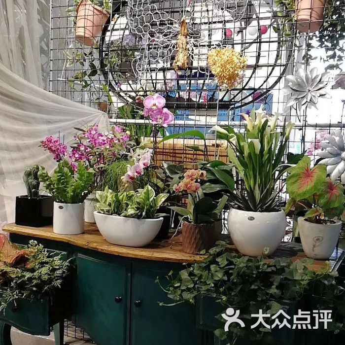 海宁国际花卉城图片-北京花店-大众点评网