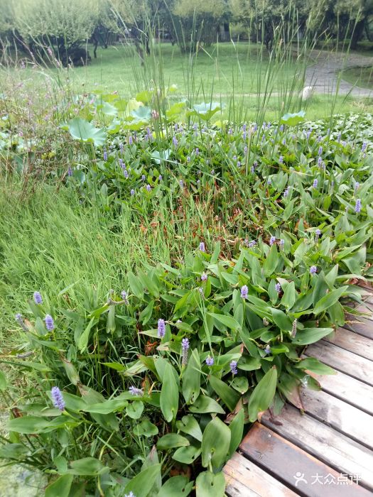 从东湖坐地铁跨越到解放公园现在已经清园了