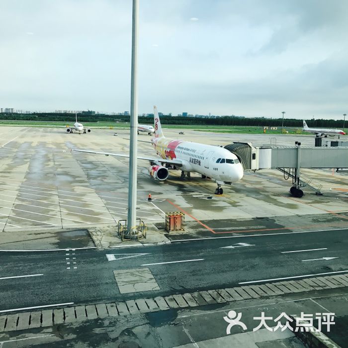 沈阳桃仙国际机场图片 - 第1张