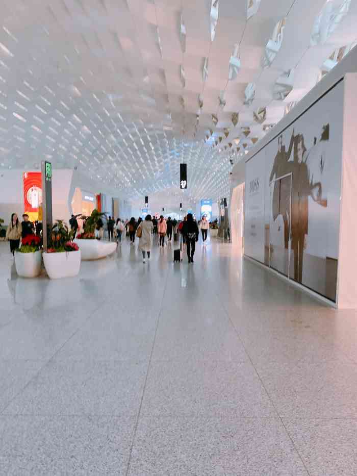 深圳宝安国际机场-"国内出发厅54号登机口与56号登机.