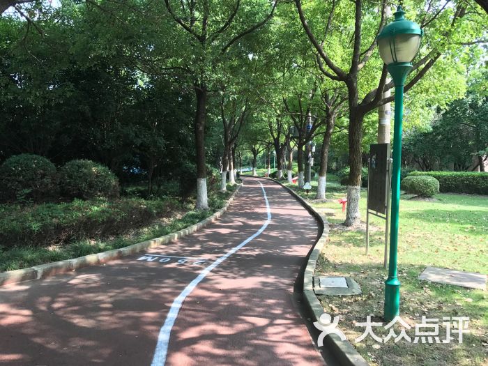 马陆公园图片 第4张