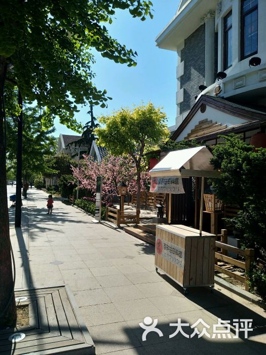 日本风情街图片 - 第7张