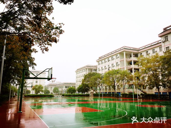 越崎中学图片