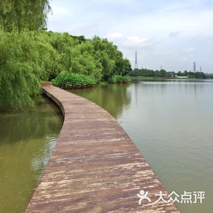 绿岛湖湿地公园图片 - 第1张