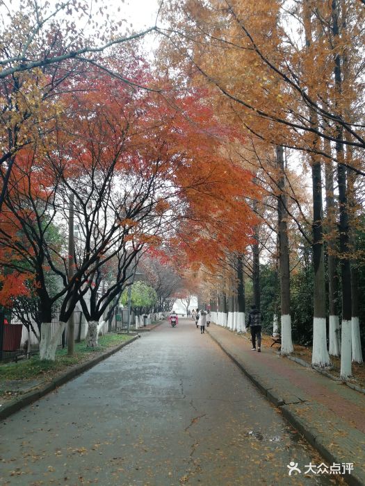 江苏师范大学(泉山校区)图片 第3张