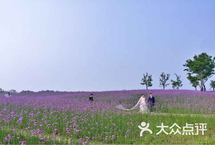法曼尼9996上传的图片