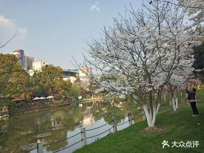 2019食分爱参加社区活动,多写优质点评!.-晓