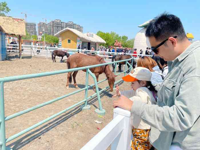 光合谷旅游度假区-"动物园挺好,比天津动物园离小动物