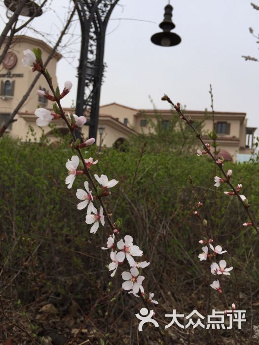 悦会所-图片-长春运动健身-大众点评网