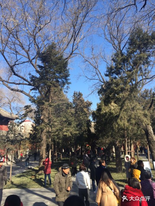 牛街附近一个比较闻名的寺。第一次去没有注