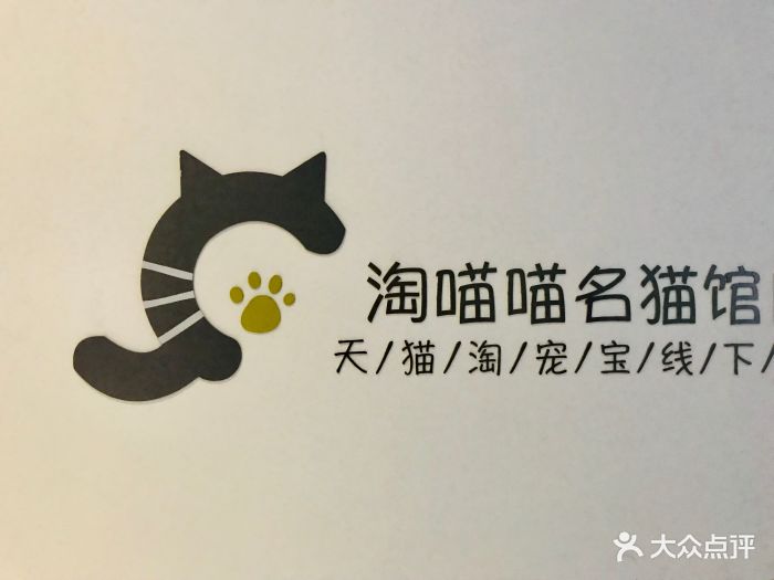 淘喵喵·猫咖啡馆猫咖猫舍(徐汇店)图片 第1374张