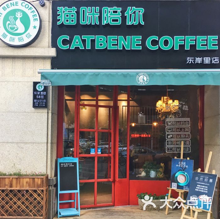 猫咪陪你咖啡馆(东岸里店)门面图片 - 第106张