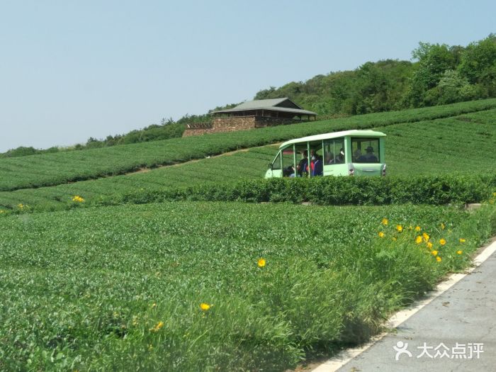 龙池山自行车公园图片 - 第5张