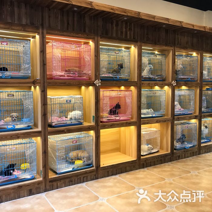 猫狗帮高端购宠连锁图片-北京宠物店-大众点评网