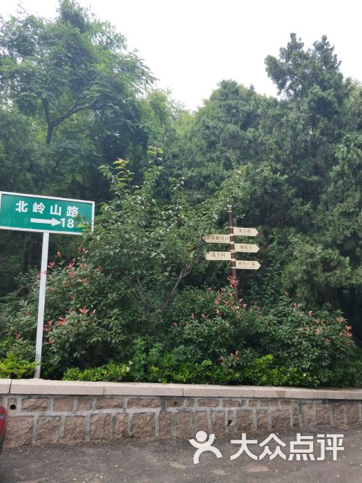 北岭山森林公园-图片-青岛周边游-大众点评网