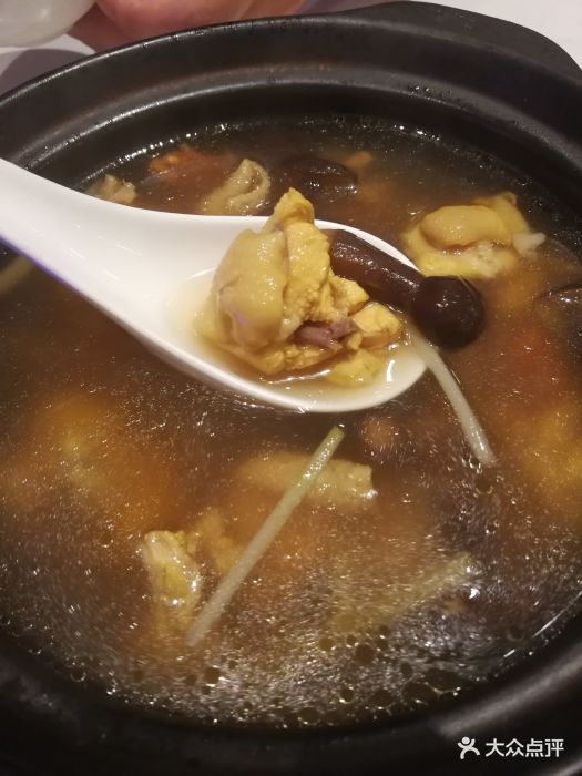 鸡枞炖老母鸡汤