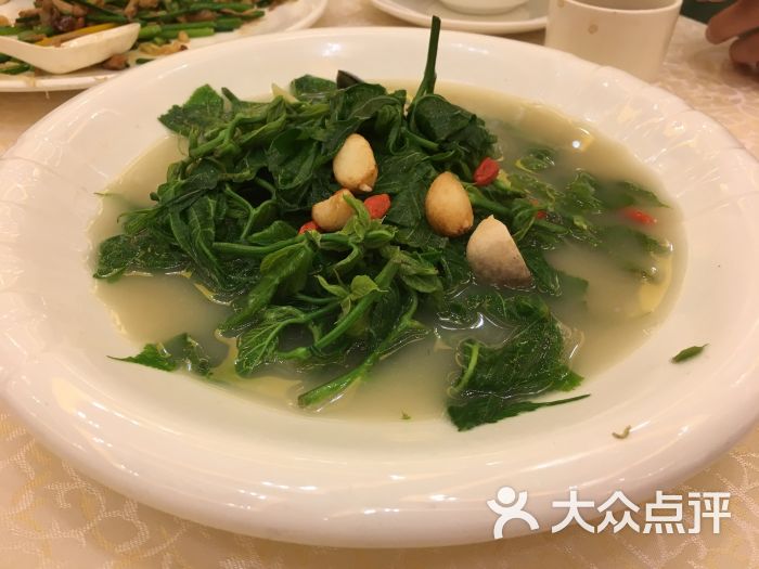 上汤桑叶