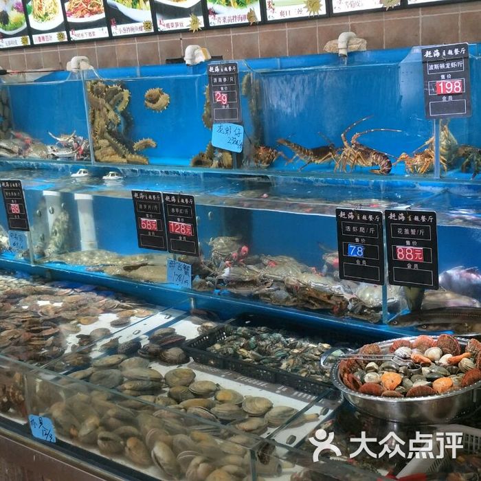 日月明赶海主题餐厅图片-北京大连海鲜-大众点评网